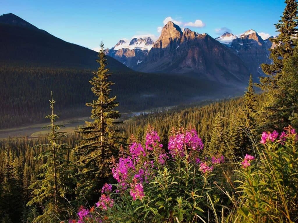 Sonnenuntergang über Bergen und Wald im Banff Nationalpark