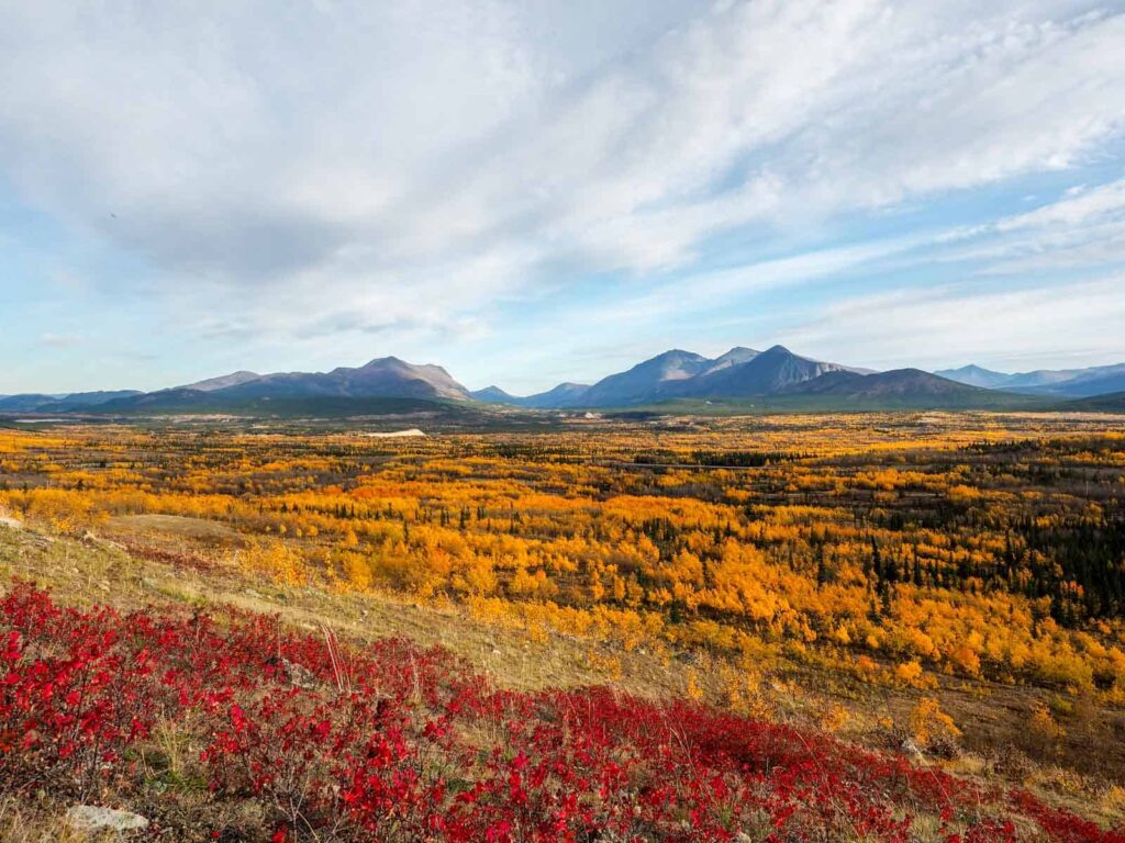 Kanada hat 10% des weltweiten Waldbestandes, besonders schön anzusehen im Herbst