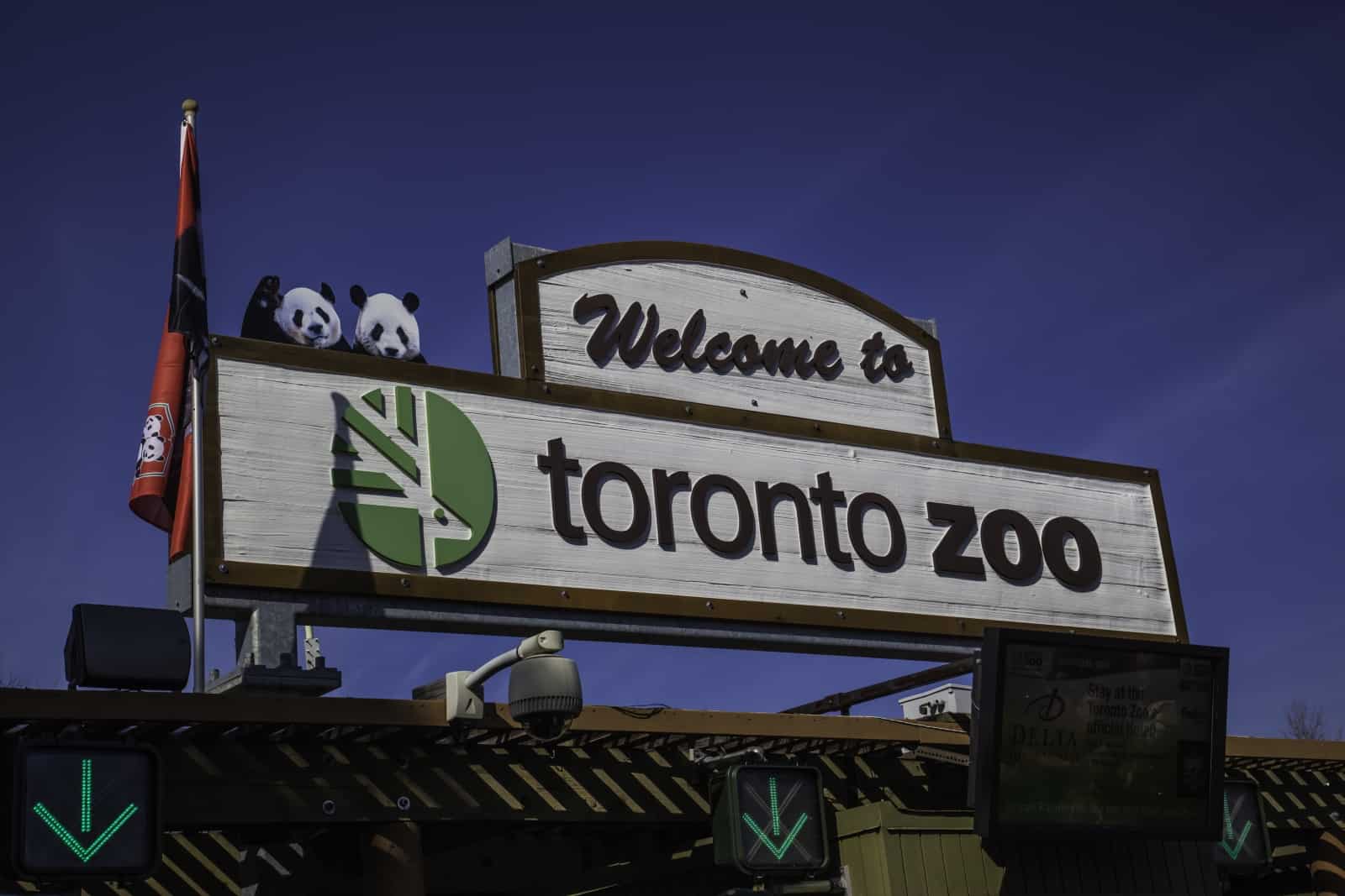 Toronto Zoo. Foto JHVEPhoto