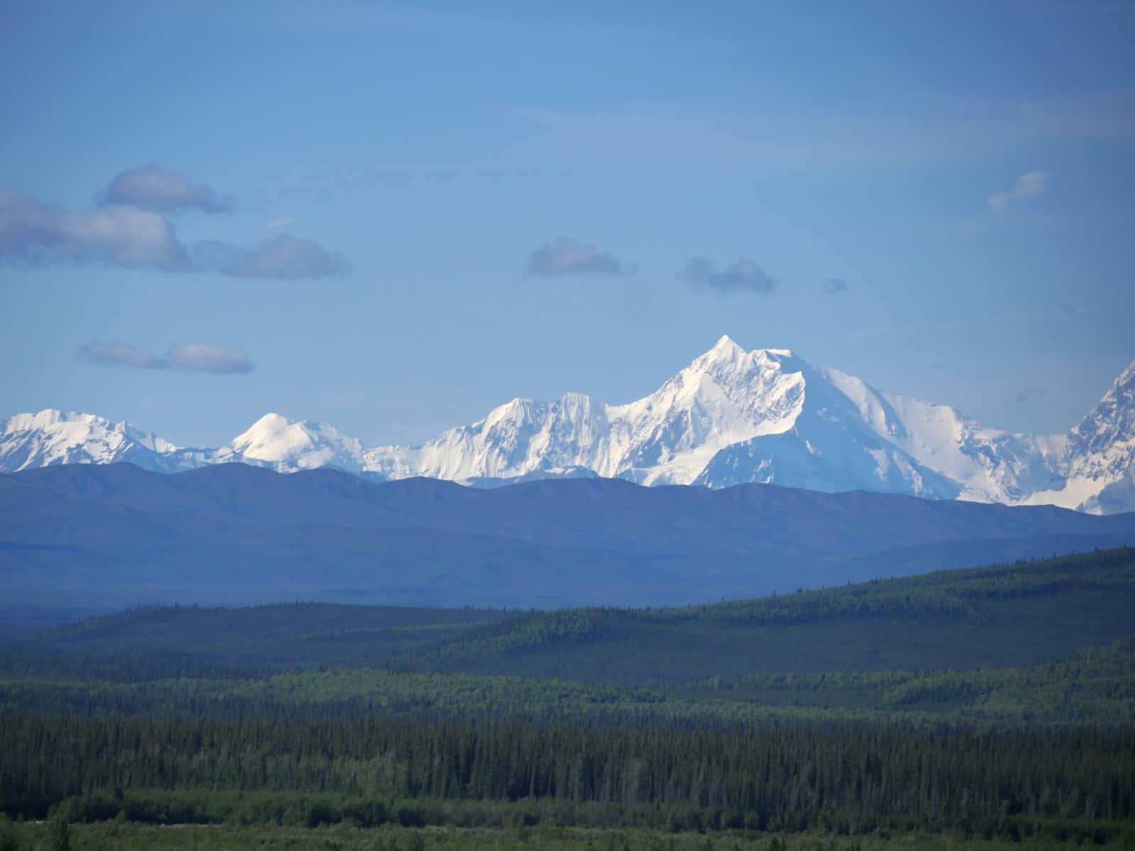 Blick auf die Alaska Range, in deren Zentralmassiv der Denali, der höchste Berg Nordamerikas steht. Leider hat er sich auf unserer Reise nicht gezeigt. Foto FasziKa
