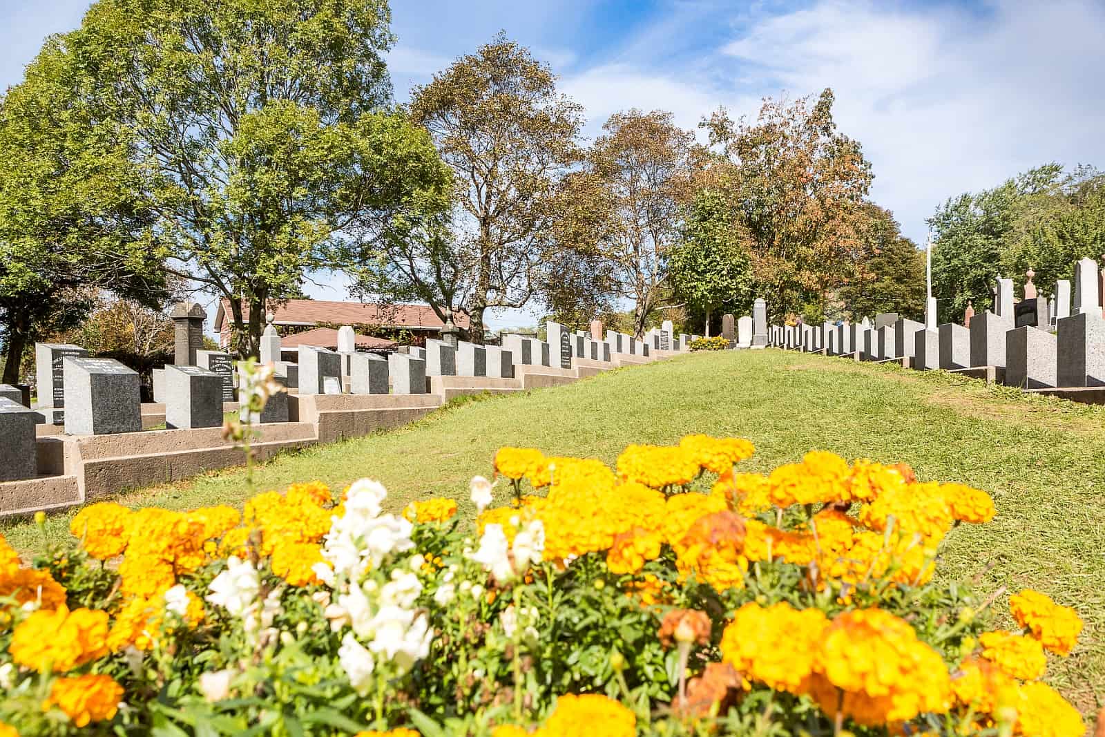 Fairview Cemetery Halifax