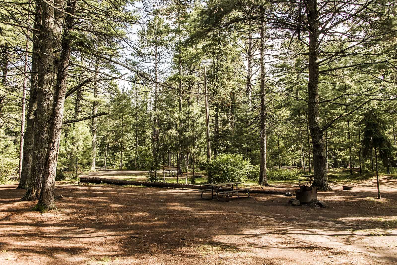 Ein typischer, weitläufiger Campground in einem Provincial Park mit Sitzgelegenheit und Feuerstelle.