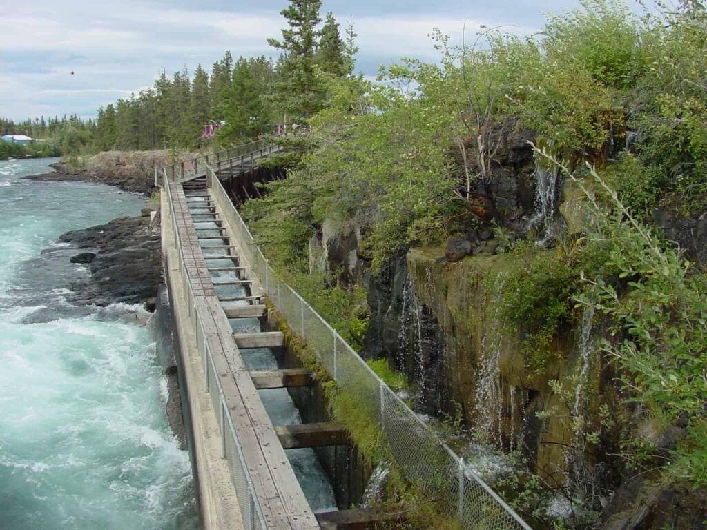 Sehenswürdigkeiten Whitehorse: Die Wooden Fish Ladder, die hölzerne Aufstiegshilfe, die es den Lachsen ermöglicht, um den Staudamm des Schwatka-Lake herum zum den Laichgründen im Yukon zu gelangen. Foto Yukon Energy Corporation