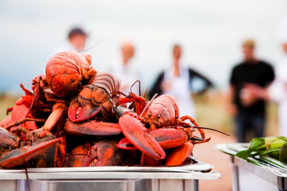Lecker essen, wie hier beim Culinary Institute of Canada Lobster Party, Charlottetown,Prince Edward Island. Foto Stephen Harris/Tourism PEI