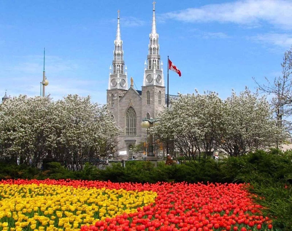 Blick auf die Kathedralbasilika Notre Dame im Herzen Ottawas. Foto Brian Kutner/Ottawa Notre Dame Cathedral Basilica 