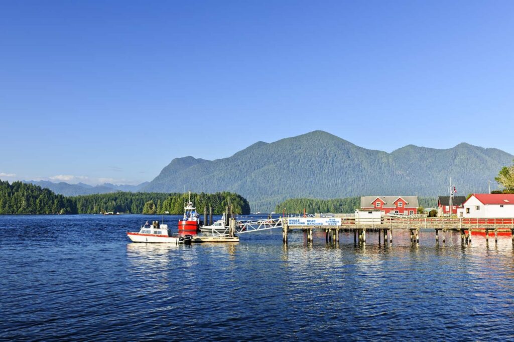 Walbeobachtungstouren auf Vancouver Island. Wir starten in Tofino. Foto elenathewise / Deposit
